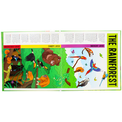 Who Lives in the Rainforest? image number 2