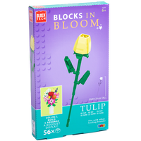 Blocks in Bloom: Assorted