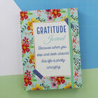 Gratitude Journal image number 5