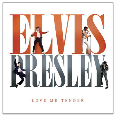 Elvis Presley: Love Me Tender image number 1