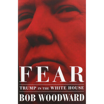 Fear: Trump in the Whitehouse image number 1