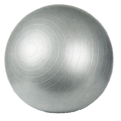 Grey Fitness Ball - 65cm image number 3