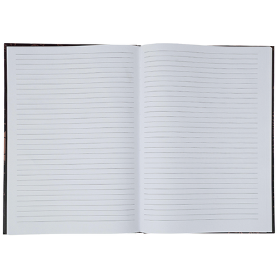 A4 Casebound Constellations Notebook image number 2