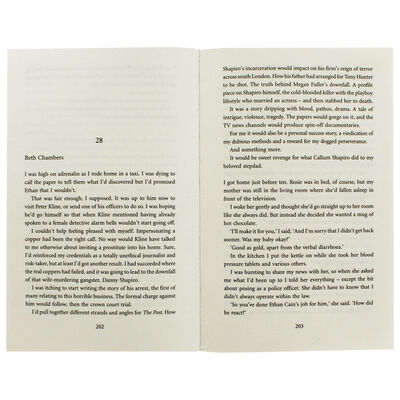 The Alibi image number 2