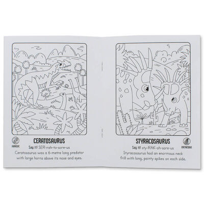 Paint with Water Dinosaurs image number 4