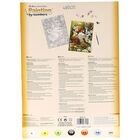 Garden Birds Paint By Numbers Set image number 3