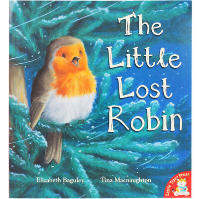 The Little Lost Robin image number 1