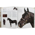 The Horse Encyclopedia image number 2