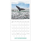 BBC Earth Perfect Planet 2022 Square Calendar image number 2