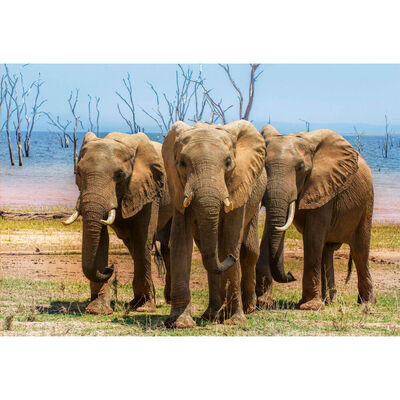 The Elephant Family 1500 Piece Jigsaw Puzzle image number 2
