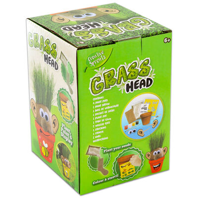 Grow and Decorate Your Own Grass Head image number 3
