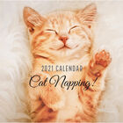 2021 Calendar: Cat Napping image number 1