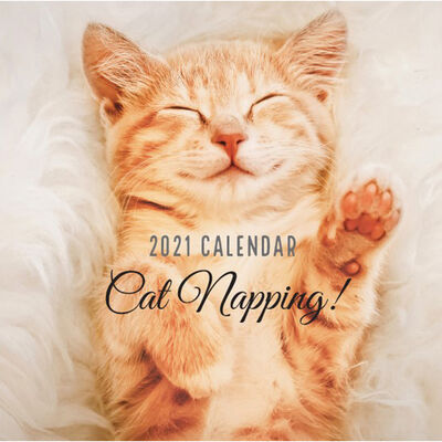 2021 Calendar: Cat Napping image number 1