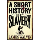 A Short History of Slavery image number 1