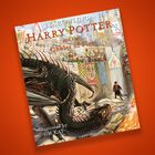 Harry Potter and the Goblet of Fire: Illustrated Edition image number 6