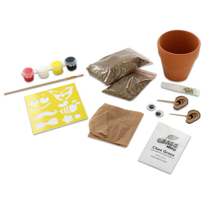 Grow and Decorate Your Own Grass Head image number 2