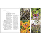 The Complete Gardener image number 2