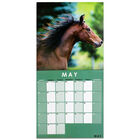 Horses 2022 Square Calendar and Diary Set image number 2