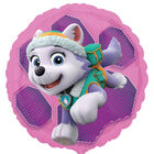 18 Inch Paw Patrol Skye and Everest Helium Balloon image number 1
