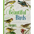 Beautiful Birds Colouring Book image number 1