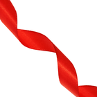 Red Satin Ribbon 3m image number 1