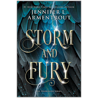 Storm and Fury image number 1