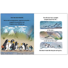 Super Duper Penguin Slide image number 2