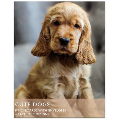 Cute Dogs Notecards image number 1