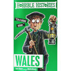 Horrible Histories: Wales image number 1