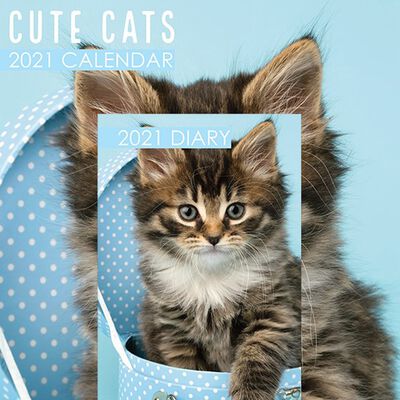 Cute Cats 2021 Calendar and Diary Set image number 1