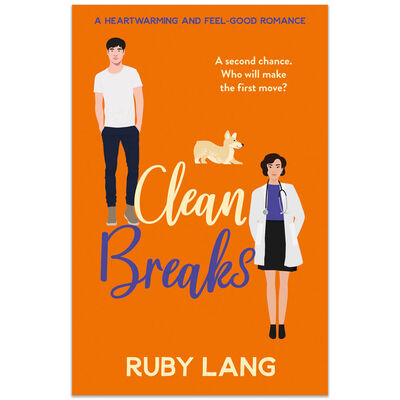 Clean Breaks image number 1