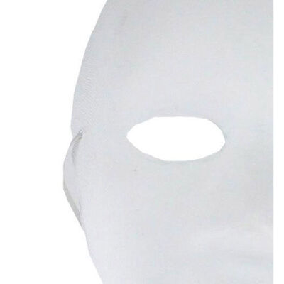 Papier Mache Mask image number 2