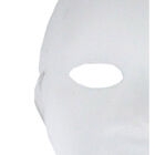 Papier Mache Mask image number 2