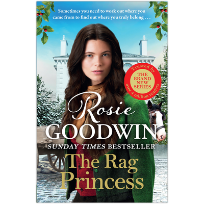 The Rag Princess image number 1