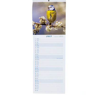 2026 Birds Slim Calendar image number 4