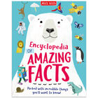 Encyclopedia of Amazing Facts image number 1