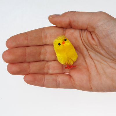 Fluffy Mini Chicks: Pack of 20 image number 3