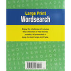 Classic Large Print Wordsearch image number 2