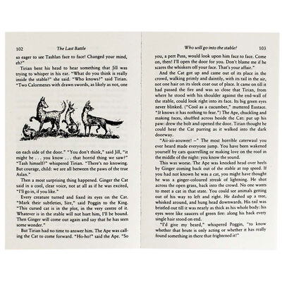 The Chronicles Of Narnia: 7 Book Box Set image number 3