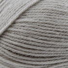 Robin DK: Squirrel Yarn 100g image number 2
