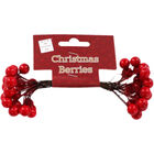 Christmas Red Berries image number 1