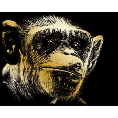 A4 Engraving Art: Almost Human Ape image number 2
