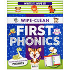 Write It, Wipe It: Phonics Wipe-Clean Book image number 1