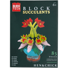 Blocks Succulents: Hen & Chick image number 1