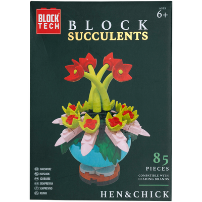 Blocks Succulents: Hen & Chick image number 1