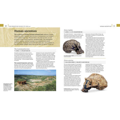 World History: From the Ancient World to the Information Age image number 2