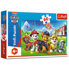 Paw Patrol on the Lawn 60 Piece Jigsaw Puzzle image number 1