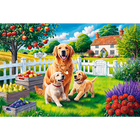 Dogs in the Countryside 300 Piece Jigsaw Puzzle image number 2