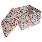 Wild Storage Box image number 4