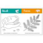 My First Colour and Learn: Dinosaurs image number 3
